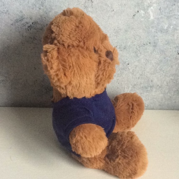 Brown Teddy Bear with Blue Tee Shirt/Steven Smith - Picture 2 of 7